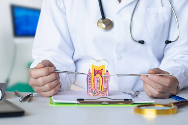 Best Emergency Broken Tooth Repair in Palisades Park, NJ